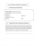 PLAN DE DESARROLLO PROFESIONAL DEL PROFESOR NOVEL