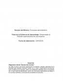 Desarrollado la filosofía organizacional de una empresa. Diagnostico interno “Escuela dos mundos”