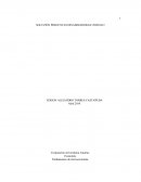 Solución caso práctico Unidad 1. El Control de Precios e Impuestos