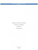 Introduccion a la contabilidad. TRATAMIENTO DE CUENTAS DE ACTIVO ESPECIFICAS