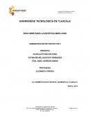 SITIO WEB PARA LA ESTÉTICA NEW LOOK