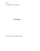 Pan : Es un producto básico que forma parte del consumo diario de la mayoría de los chilenos