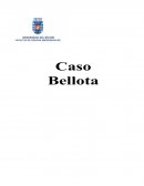 Caso Bellota