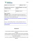 Ensayo sobre el Bullying