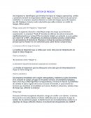 GESTION DE RIESGOS EMPRESA