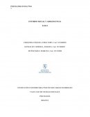 Entorno social y adolescencia