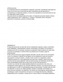 Desarrollo psicomotor, describiendo cada etapa del mismo en el niño de cero a doce años