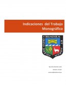 Indicaciones de trabajo monografico