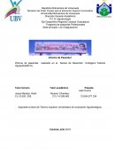 Programa de pasantías Profesionales