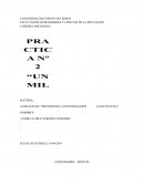 PRACTICA Nª 2 “Un milagro para Lorezo”