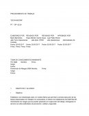 PROCEDIMIENTO DE TRABAJO “EXCAVADORA”