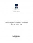 Estados financieros individuales y consolidados. Empresa matriz y Filial