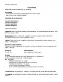 Resumen nutrientes y microorganismos
