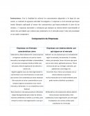 DESAROLLO Comparación de Empresas