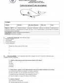 Control de lectura”El año de la ballena”