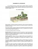 Dinamismo y Biocenosis