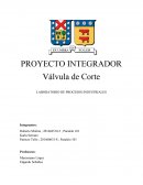 Informe Laboratorio Procesos Industriales