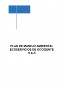 PLAN DE MANEJO AMBIENTAL ECOSERVICIOS DE OCCIDENTE S.A.S