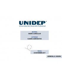 DISEÑO CURRICULAR. Página 1