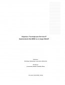 Informe Proyecto Red Mesh