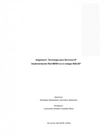 Informe Proyecto Red Mesh. Página 1