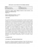 Pruebas de caracterizacion de hidrocarburos