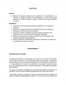 Procedimientos