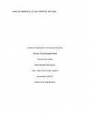 ANALISIS AMBIENTAL DE UNA EMPRESA NACIONAL