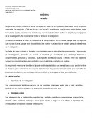 Hipotesis ¿Qué es lo que voy hacer?