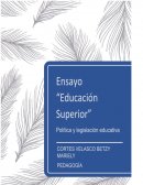 La educación superior
