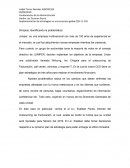 Caso Juniper Implementcion de estrategias en una empresa global