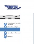 A.A. Integradora 3 - auditoria ambiental