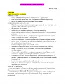 RESUMEN PSICODIAGNOSTICO