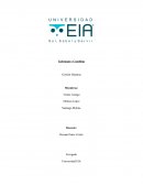 Liderazgo y Coaching Gestión Humana