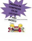 PRUEBA DE COMPRENSIÓN DE LECTURA