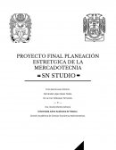 PROYECTO FINAL PLANEACIÓN ESTRETGICA DE LA MERCADOTECNIA ❝SN STUDIO❞