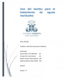 Uso del bambú para el tratamiento de aguas residuales
