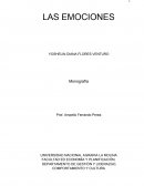 LAS EMOCIONES