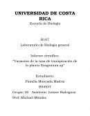 Laboratorio de Biología general Informe científico: “Variación de la tasa de transpiración de la planta Syngonium sp”