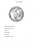 Economia del trabajo