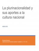 La plurinacionalidad y sus aportes a la cultura nacional