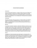 Ciclo de vida de los productos