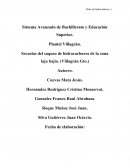 Proyecto de investigacion.robo de hidrocarburo