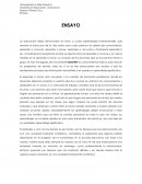 ENSAYO EDUCACION Y DOCENCIA