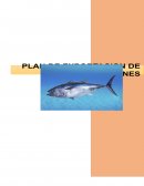 Plan de exportacion Atunes frescos