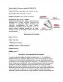 Mercadeo. Producto escogido: Copa menstrual ecológica