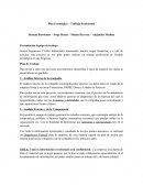 Plan Estratégico – Trabajo Profesional