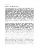 ENSAYO: PELÍCULA HIJOS DE LA CALLE