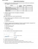 TRABAJO PRÁCTICO DE MEZCLAS