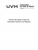 Diversidad Cultural en los Negocios